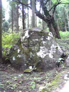 d0088735_1446811.jpg