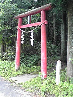 d0088735_1446868.jpg