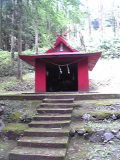 d0088735_1446877.jpg