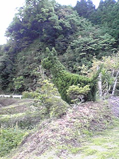 d0088735_14485429.jpg