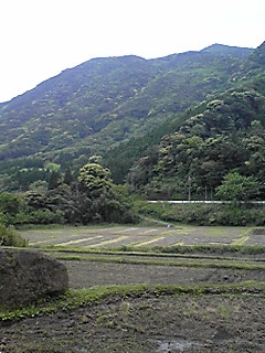 d0088735_14485446.jpg