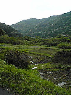 d0088735_14485477.jpg