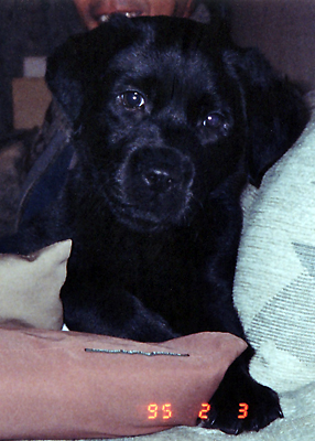 e0044635_0475516.jpg