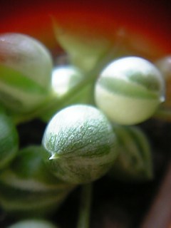 c0056437_0272697.jpg
