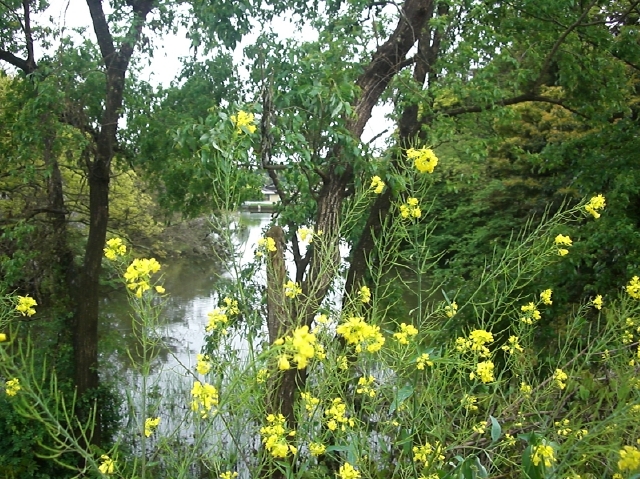 b0029438_1405315.jpg