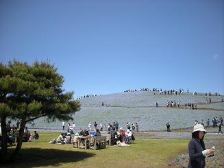 b0024439_20234941.jpg