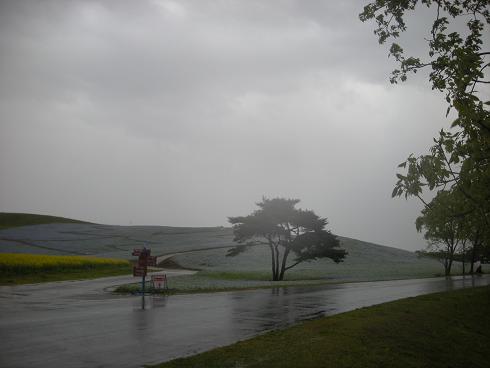 b0024439_21341711.jpg
