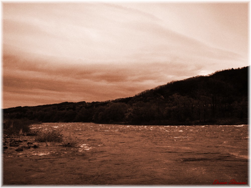 b0072541_22382221.jpg