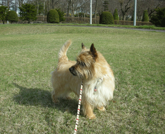 c0147548_23341152.gif