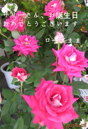 e0121548_222814100.jpg