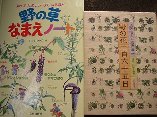 a0068350_3242136.jpg