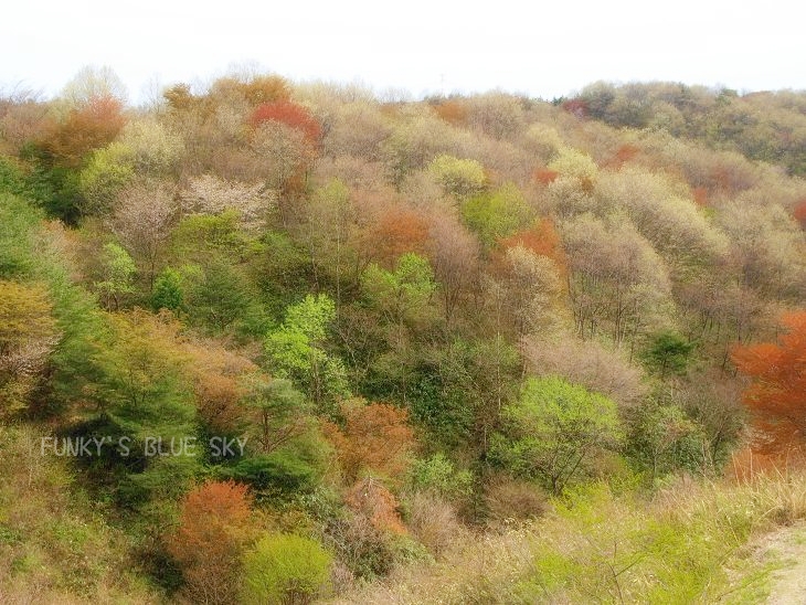 c0145250_13315473.jpg