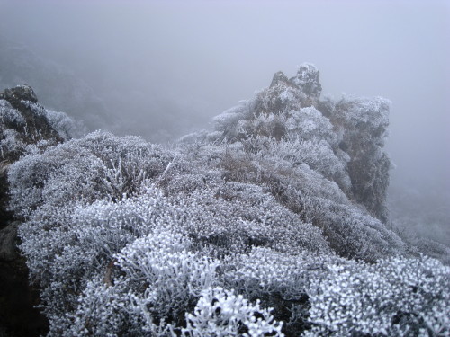 c0179351_21544094.jpg