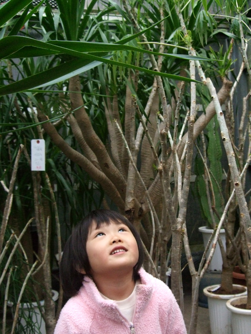 e0060452_17285923.jpg