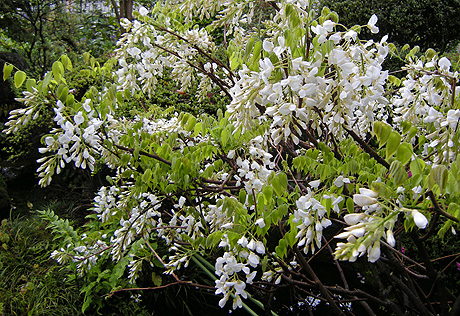 a0001354_1937545.jpg