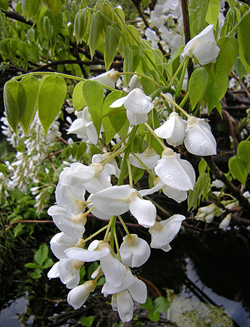a0001354_1938693.jpg