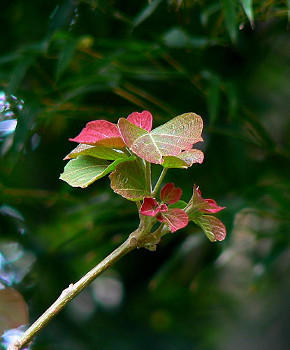d0091754_142463.jpg