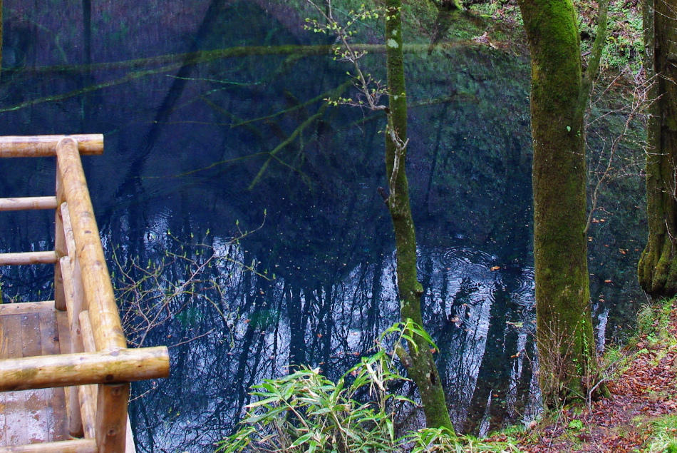 f0207754_23573049.jpg