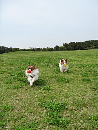 c0074156_12532240.jpg