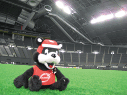 b0159557_13552514.gif