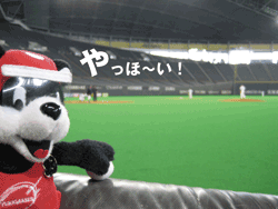 b0159557_1355847.gif