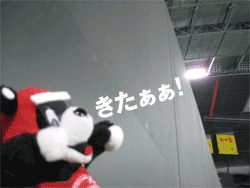 b0159557_1461368.gif