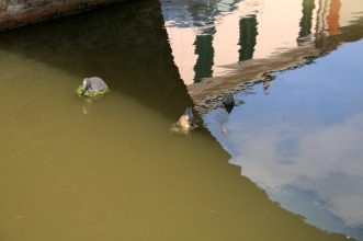 f0077159_2156462.jpg