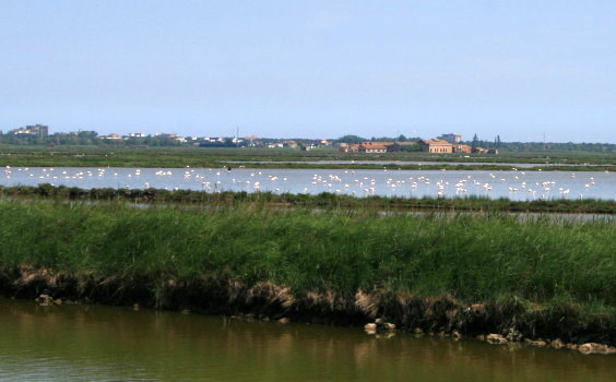 f0077159_2205710.jpg