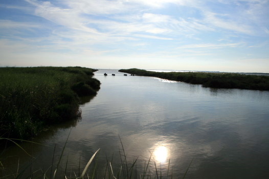 f0077159_22111119.jpg