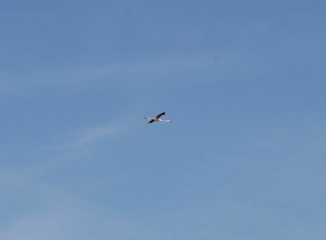 f0077159_2211430.jpg