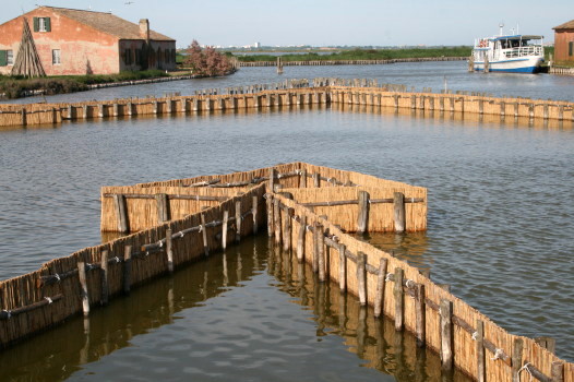 f0077159_2234079.jpg