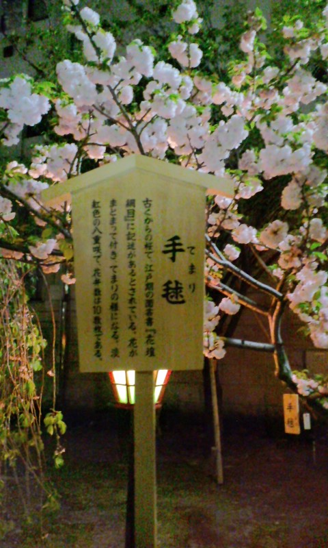 d0126960_2241397.jpg