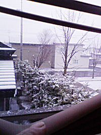 a0050669_19175036.jpg