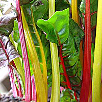 a0050669_3255830.jpg