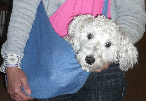 f0203369_20474544.jpg