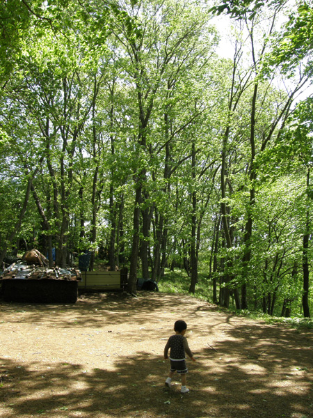 c0122670_21844.jpg