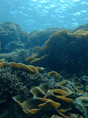 b0033573_16413892.jpg