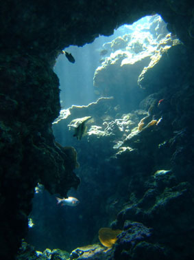 b0033573_16415094.jpg