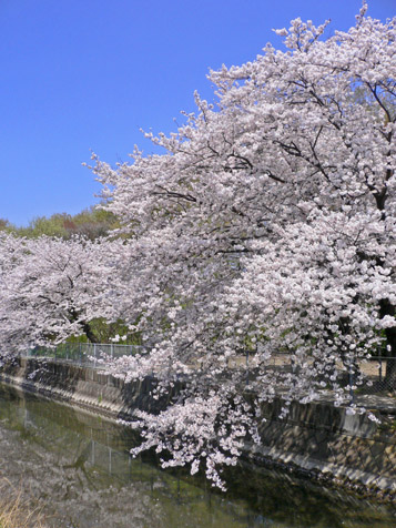 e0112077_0471123.jpg