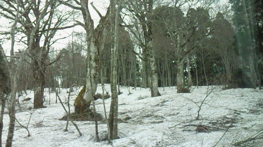 f0116278_167486.jpg