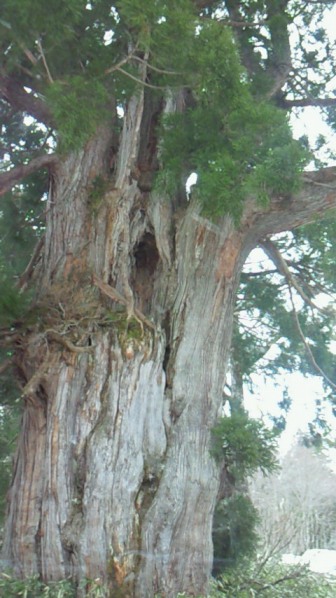 f0116278_168090.jpg