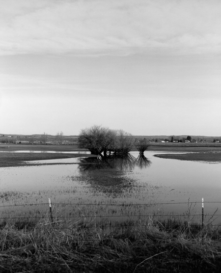 c0143579_12334927.jpg