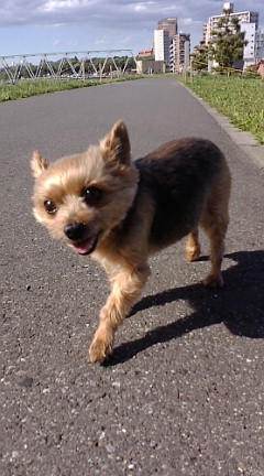 f0004180_1755760.jpg