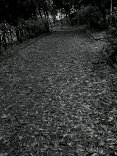 f0100480_194695.jpg