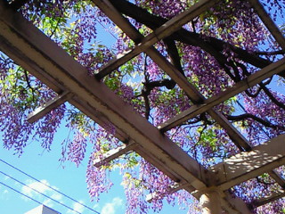 e0017290_2141519.jpg