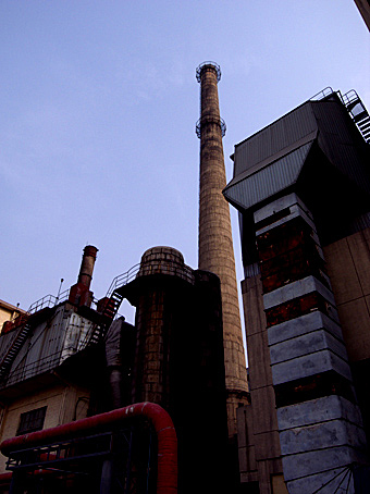 c0195791_1261028.jpg