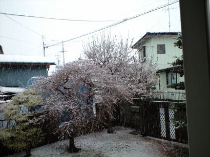 b0124693_21364651.jpg