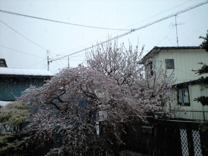 b0124693_2137019.jpg