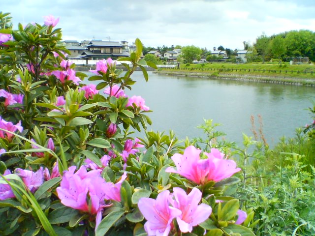 f0077595_17228100.jpg
