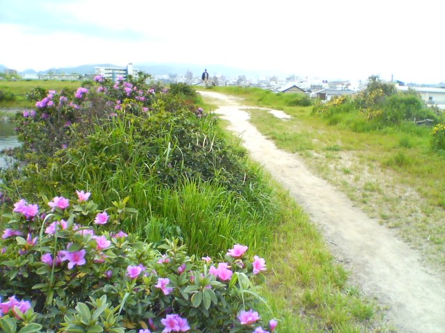 f0077595_1722828.jpg